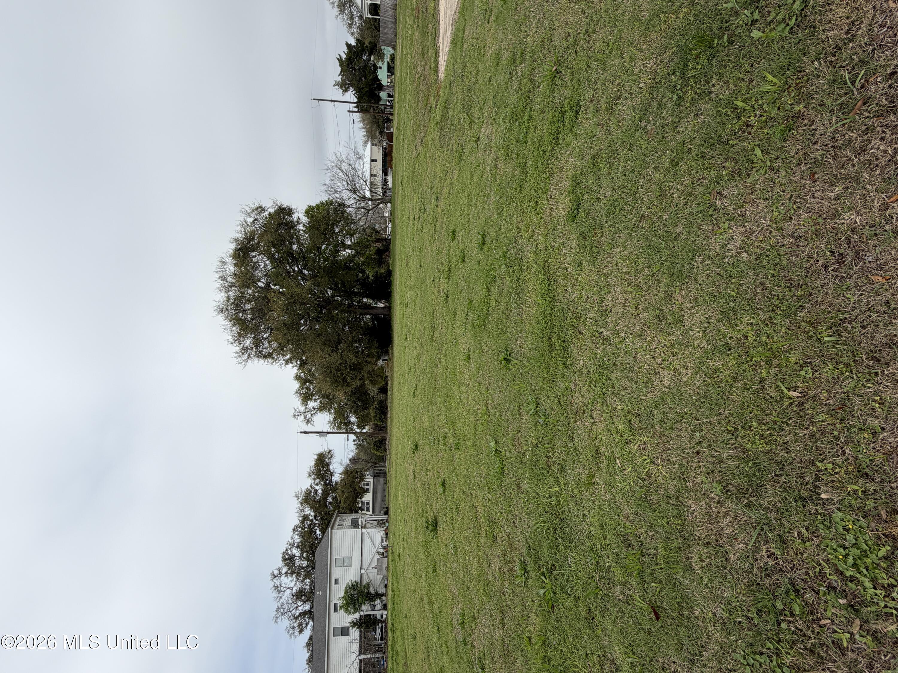 Image 1: Lot