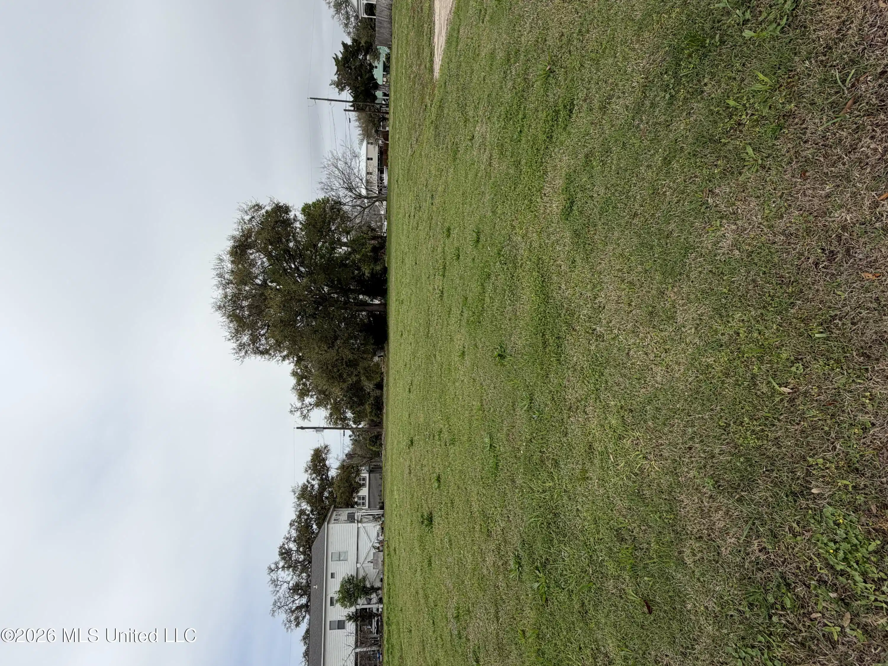 Image 1: Lot