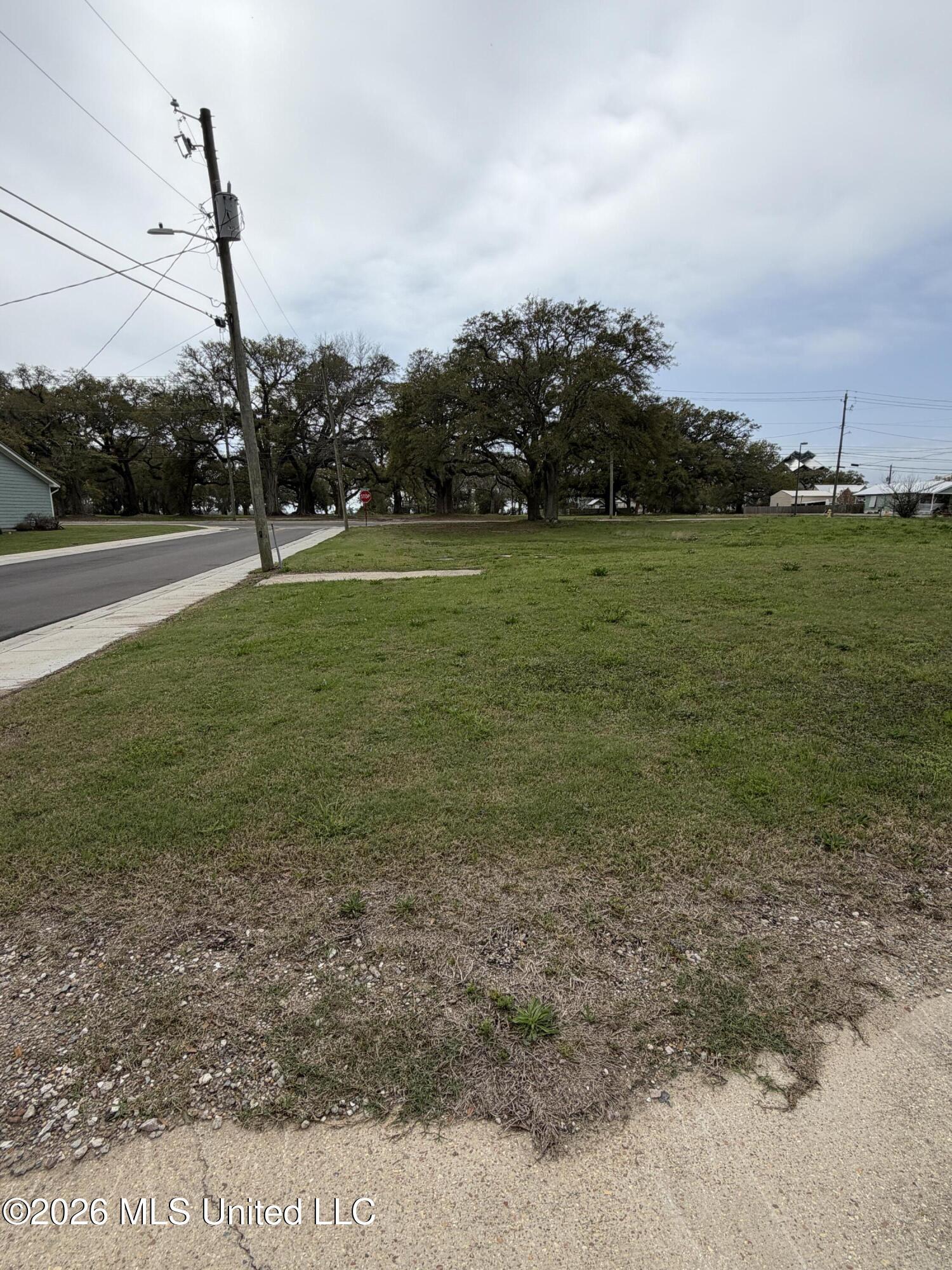 Image 3: IMG_5499