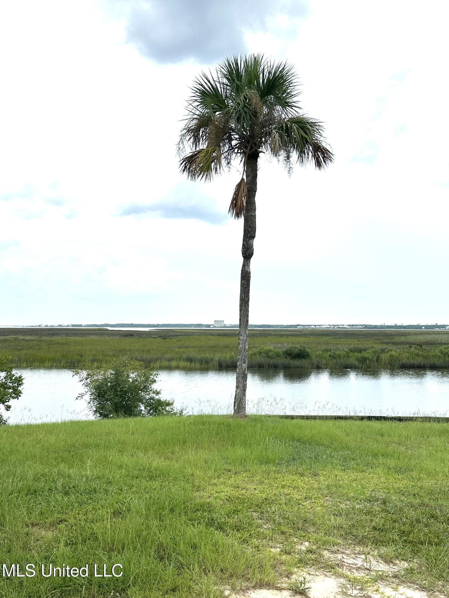 Image 2: Overlooking Marsh Toward Bay