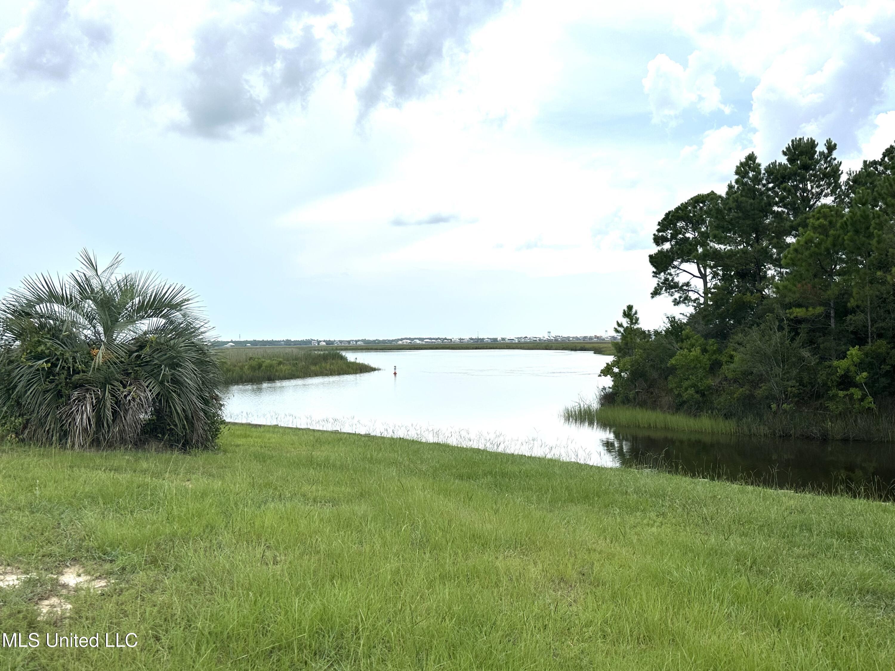 Image 3: Overlooking Bayou