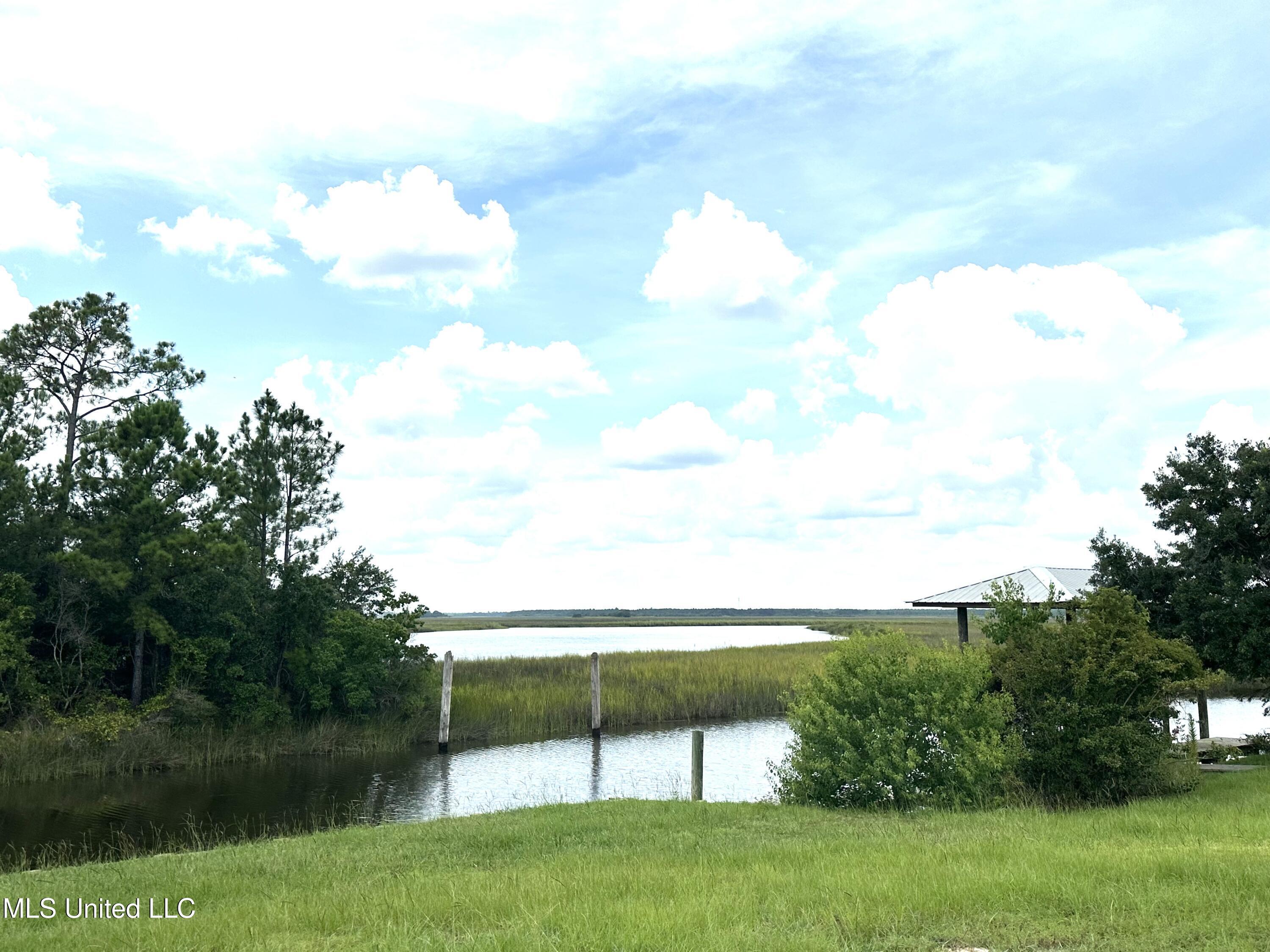 Image 4: Overlooking River