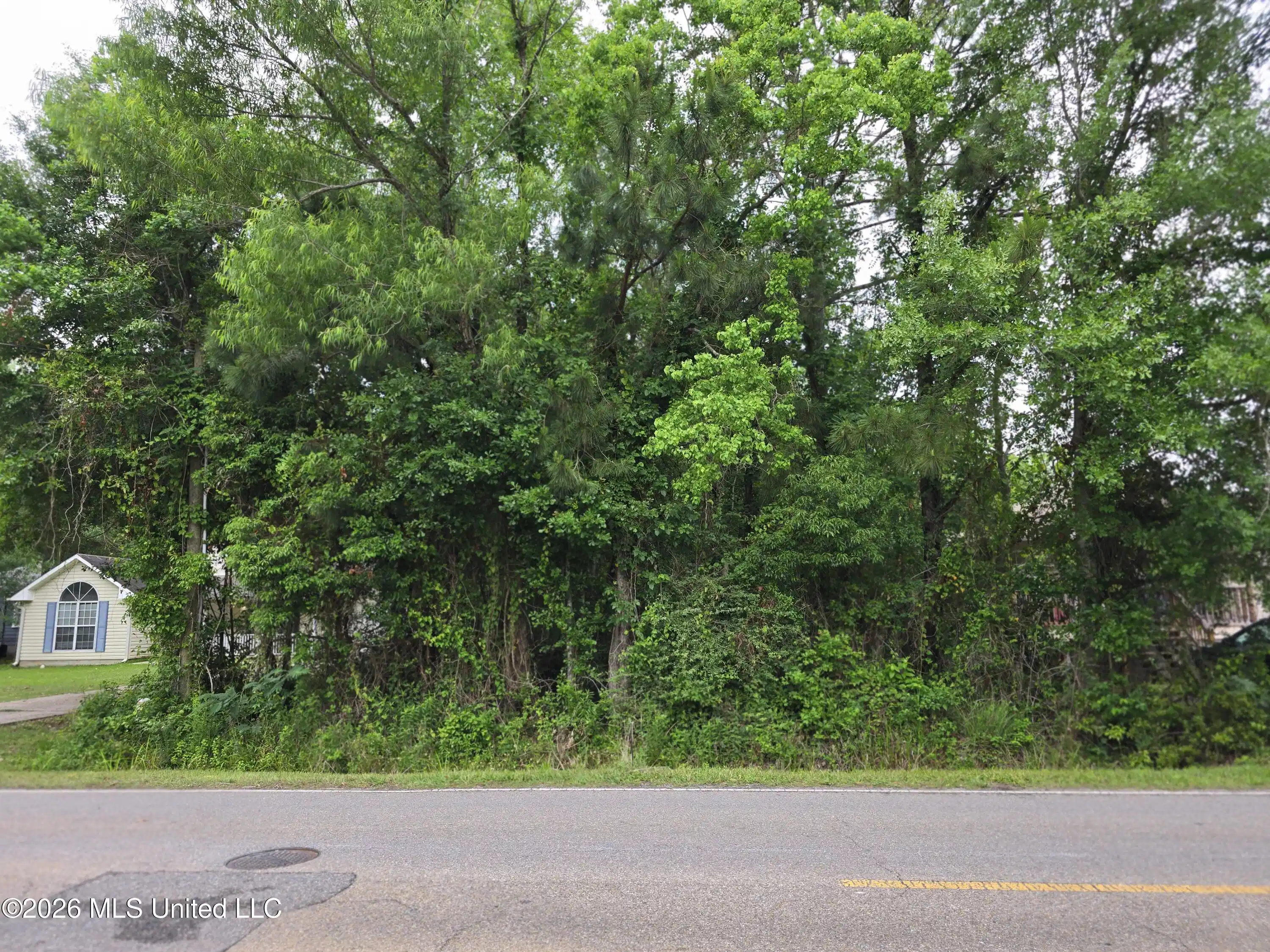 Image 1: Large Lot