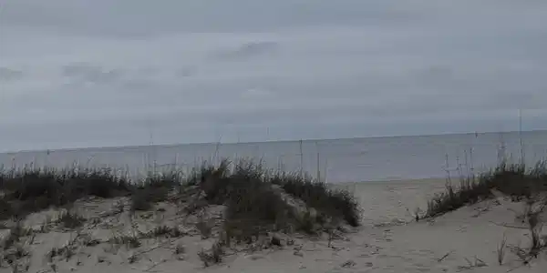 Image 3: White Sandy Beaches!