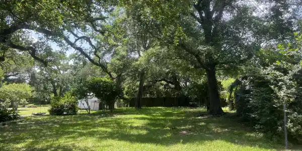 Image 2: View