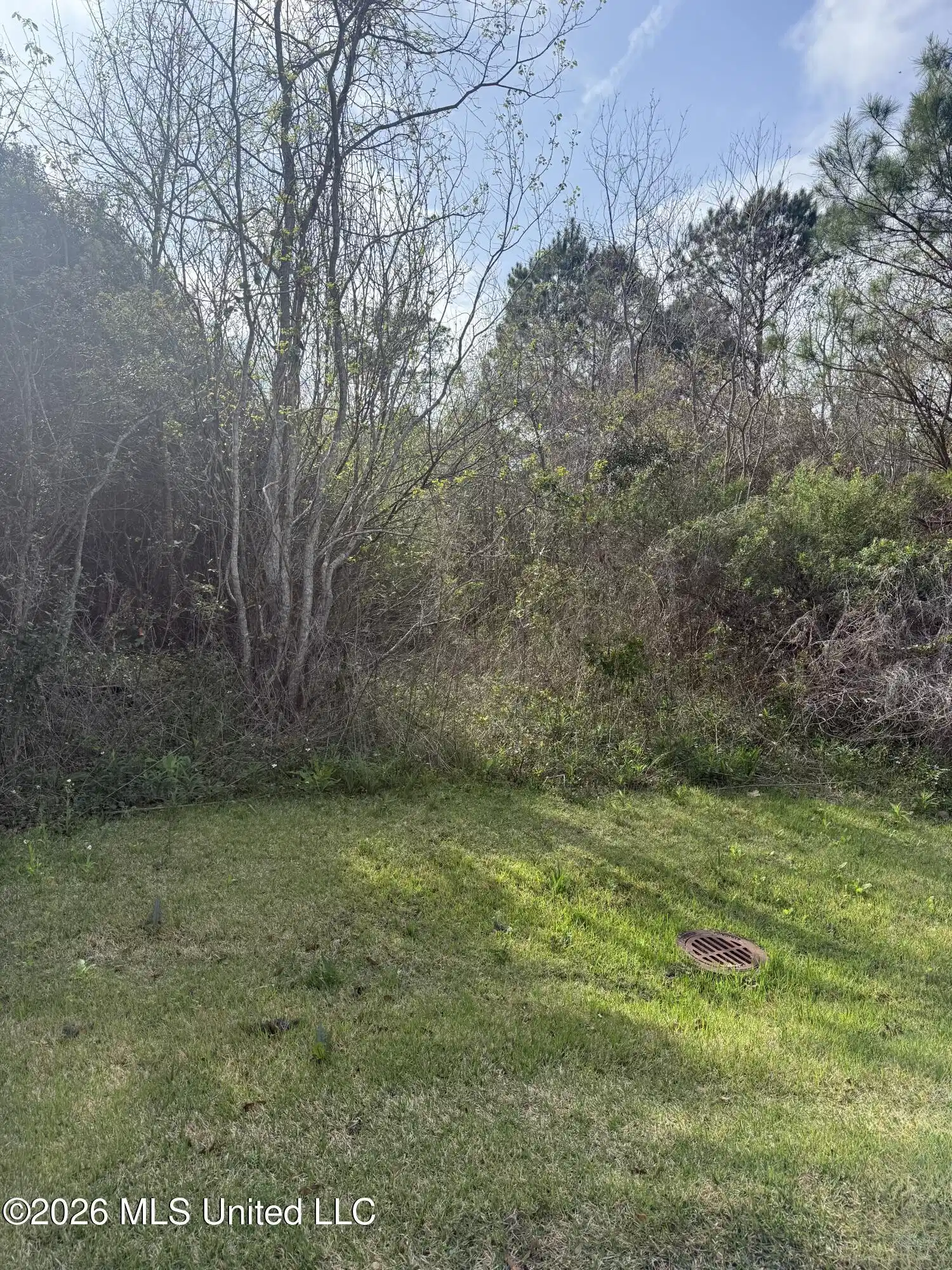 Image 1: picture