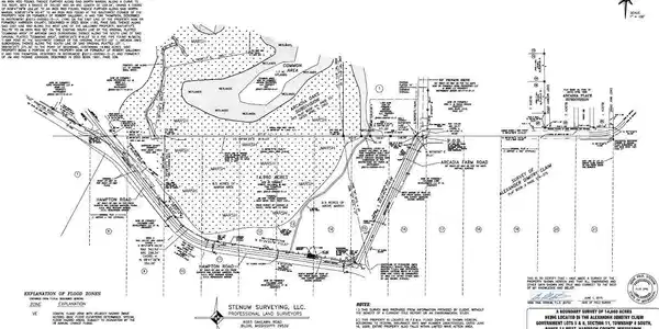 Image 2: Survey