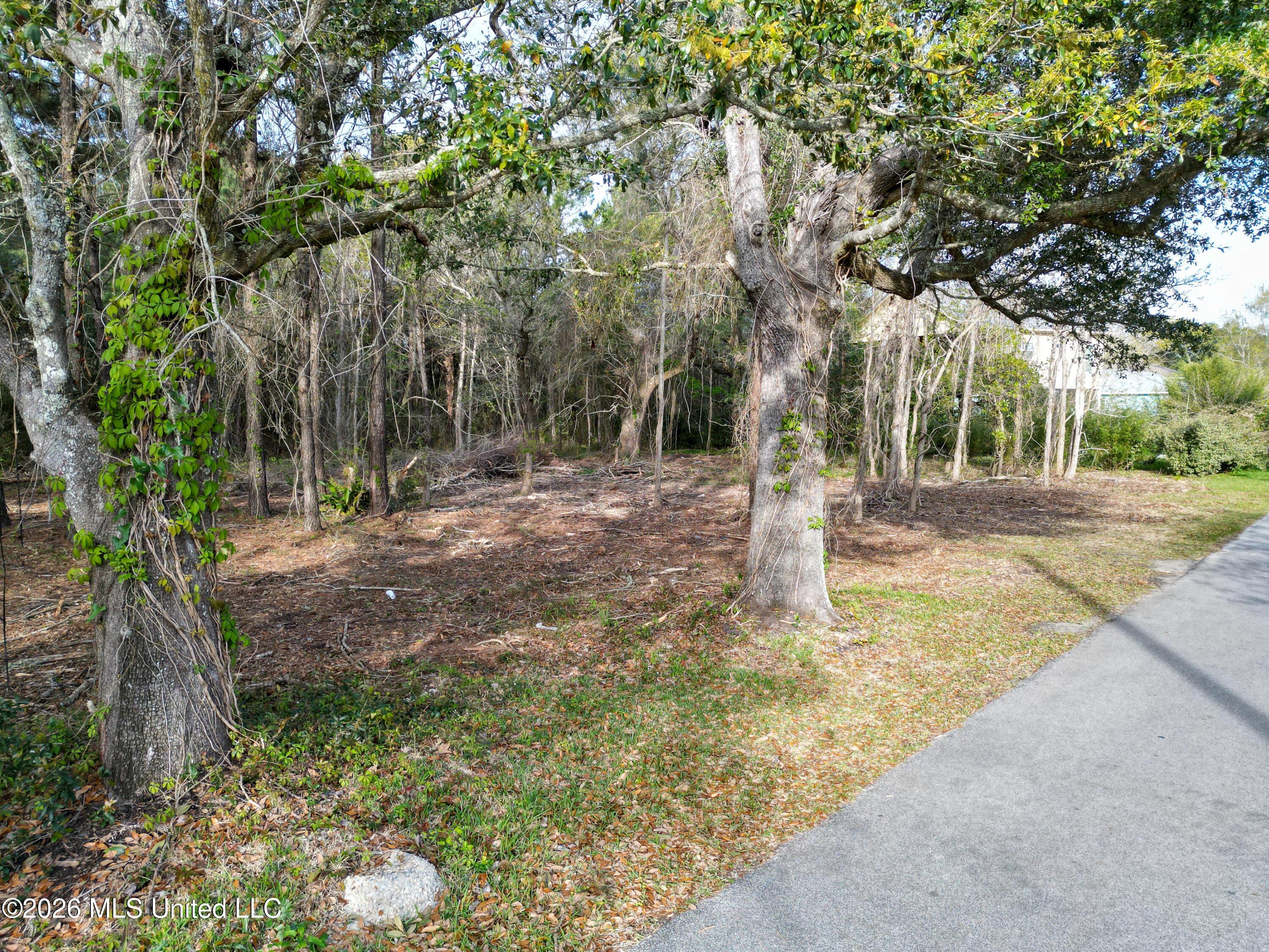 Image 3: DJI_0180