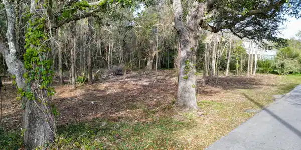 Image 3: DJI_0180