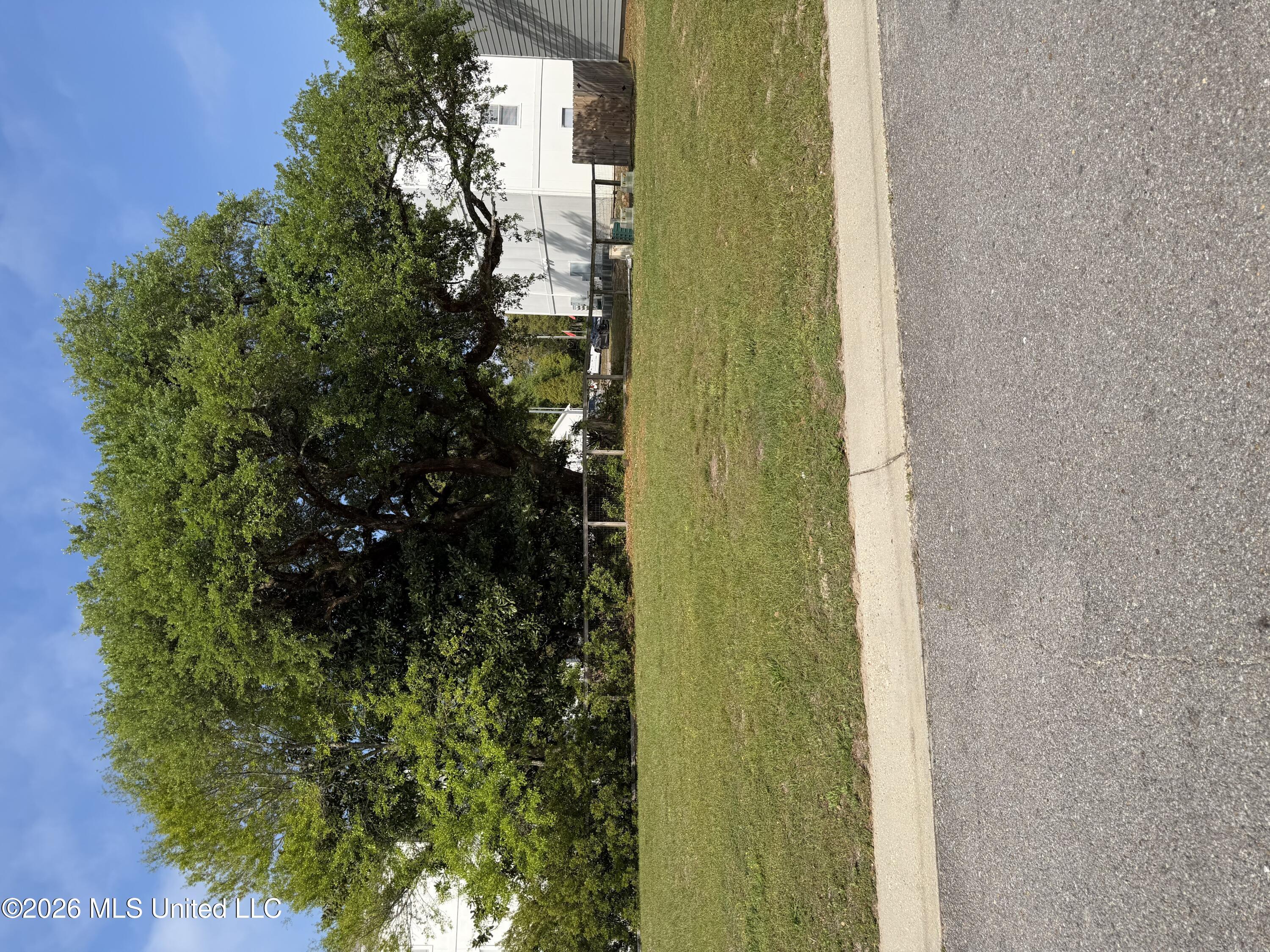 Image 1: IMG_8153