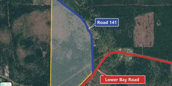 Lower Bay Road