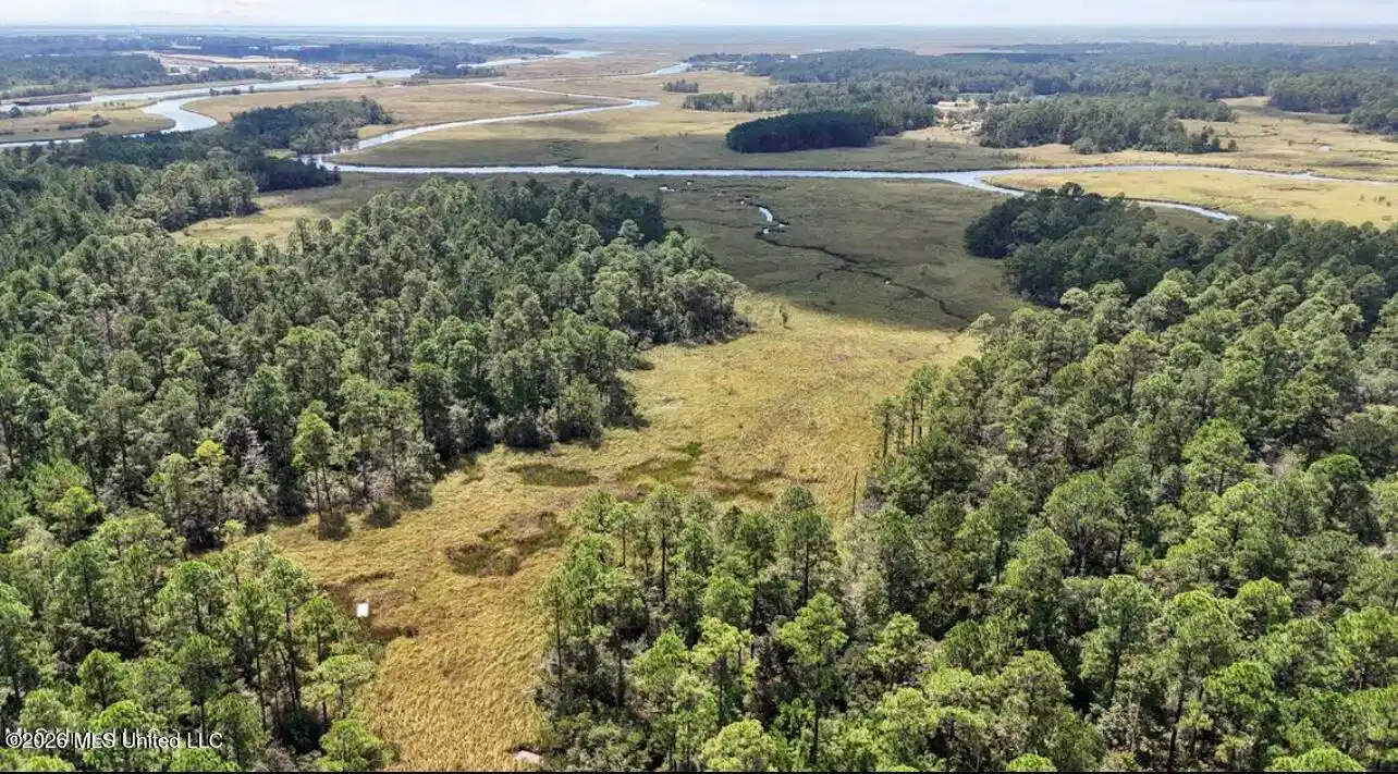 Image 1: Aerial
