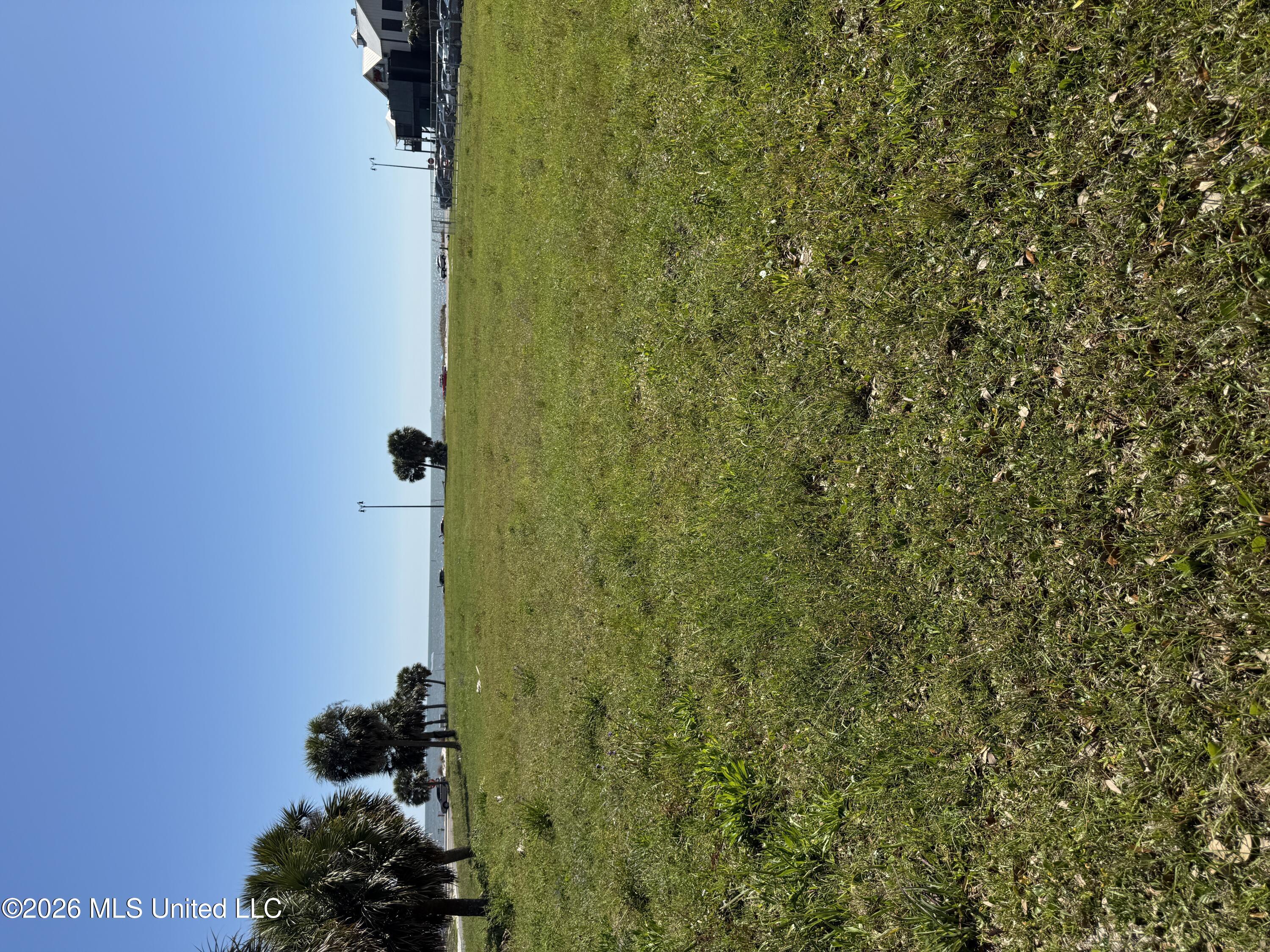 Image 2: IMG_3370