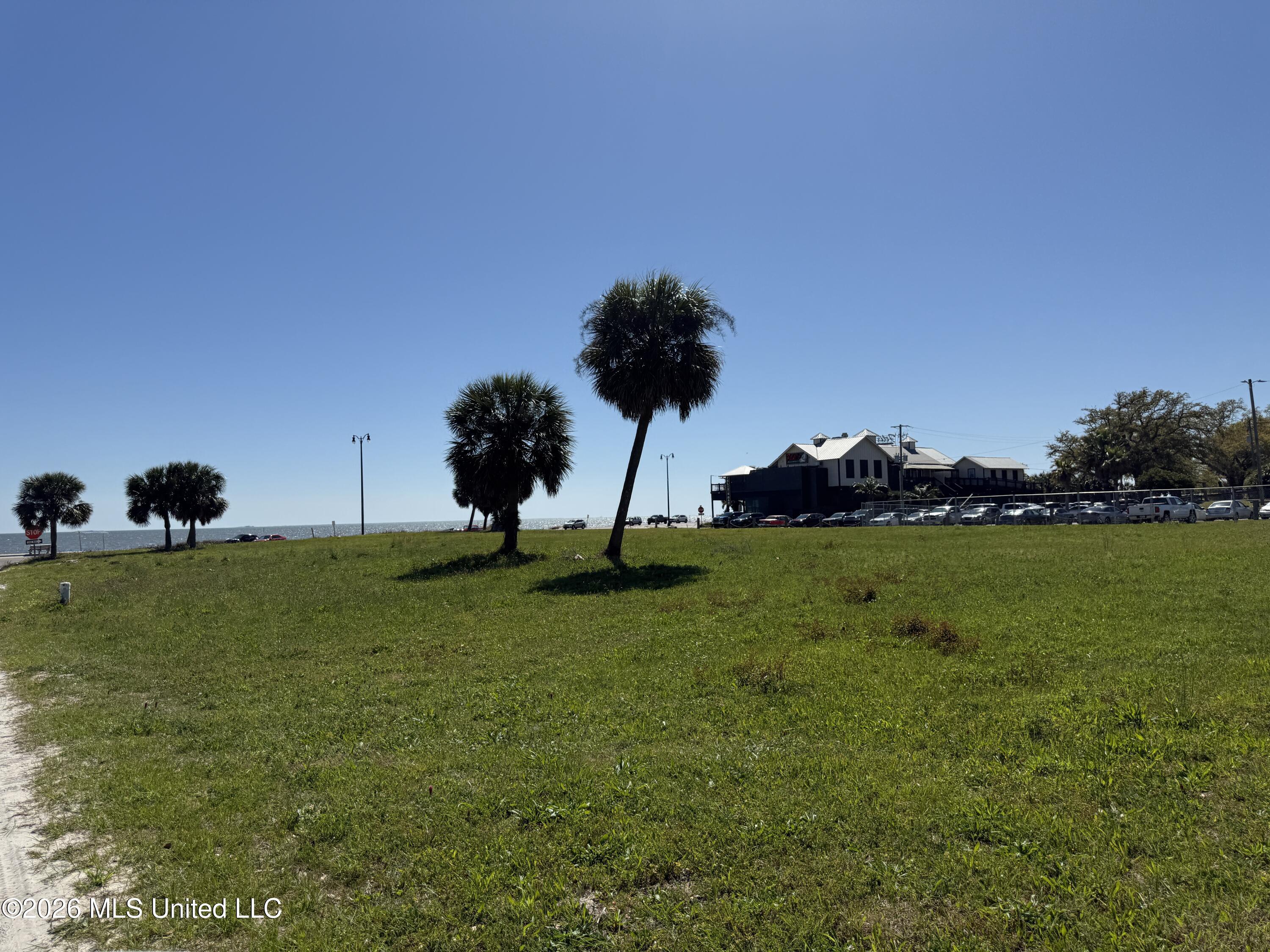 Image 3: IMG_3373