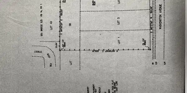 Image 4: Survey (Old)