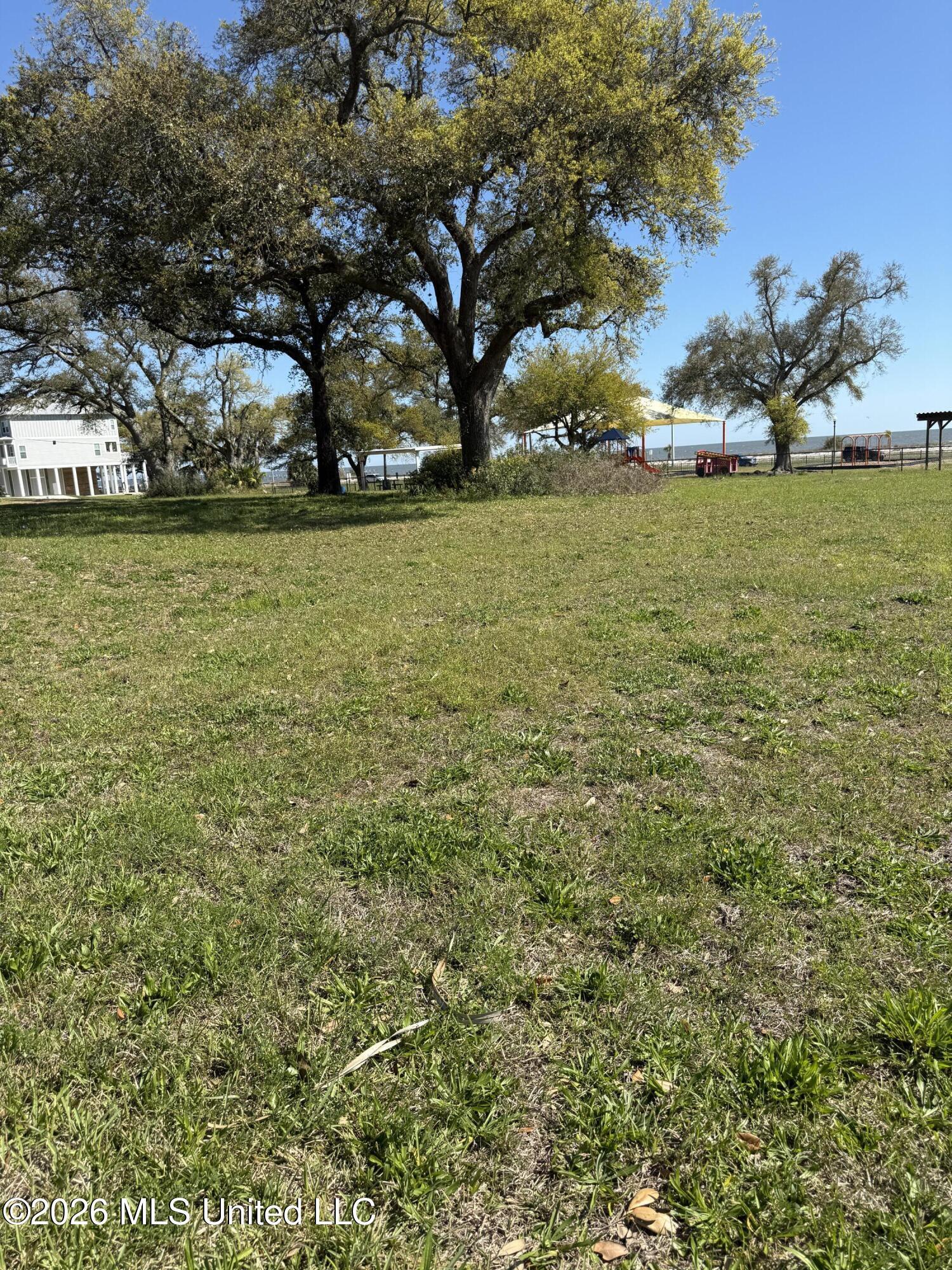 Image 3: IMG_3388