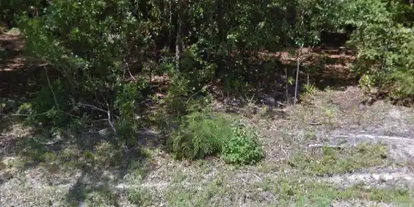 Lot 2610 Bay Street