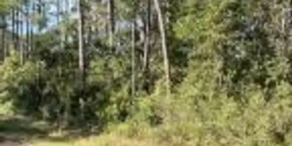 Image 2: 20240927144828398853000000