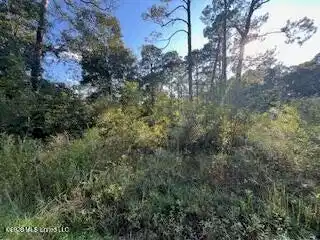 Image 1: 20240927160457286914000000-o