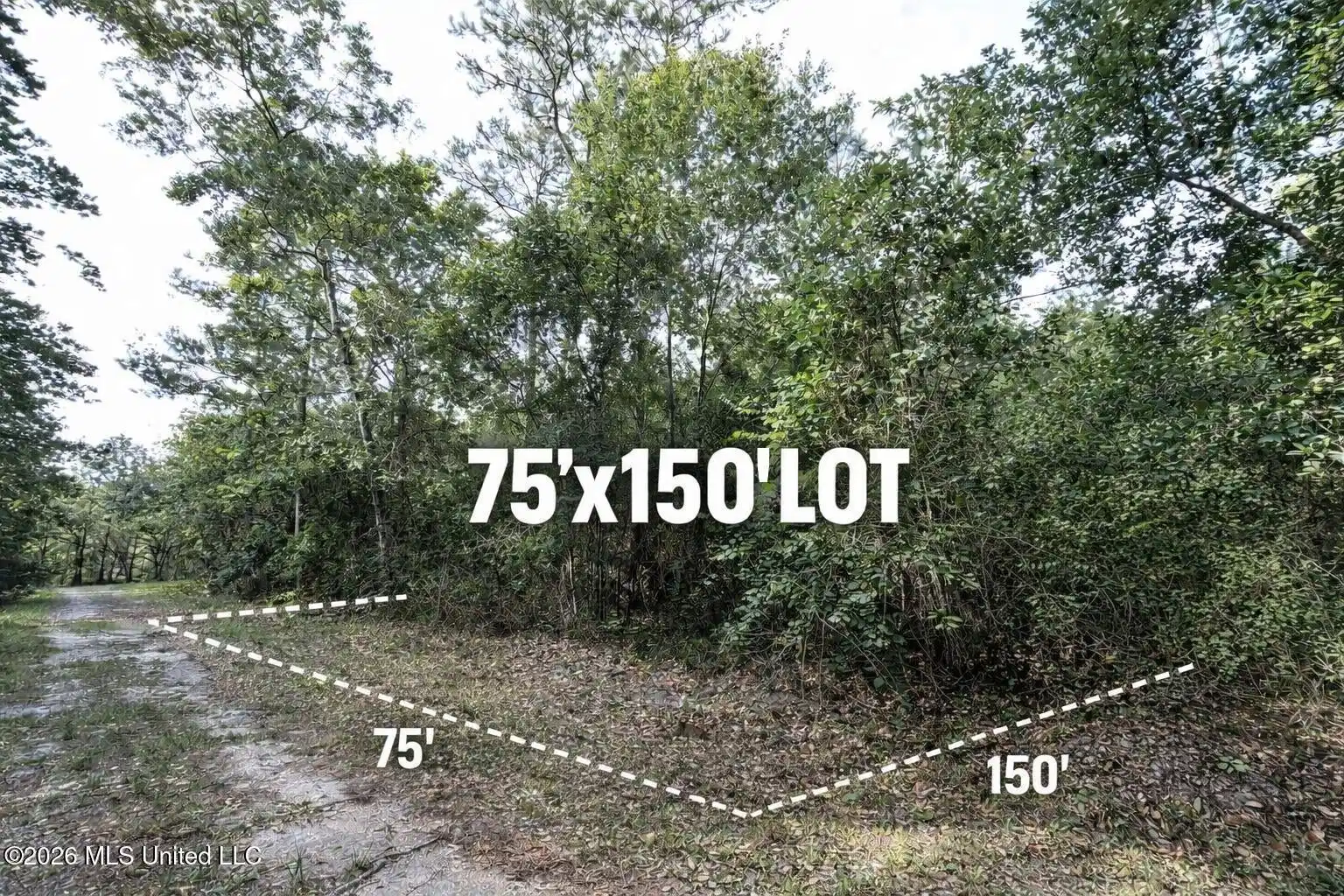 Image 1: Wooded lot for sale with dimensions