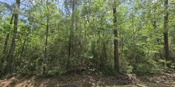 Image 3: 20260415_125845