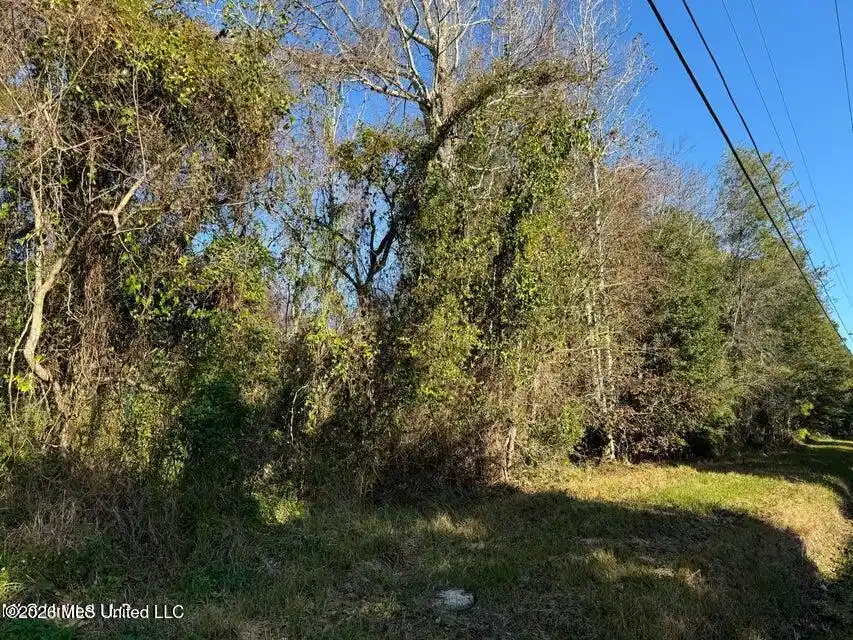 Image 1: main image
