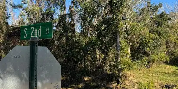 Image 2: second image