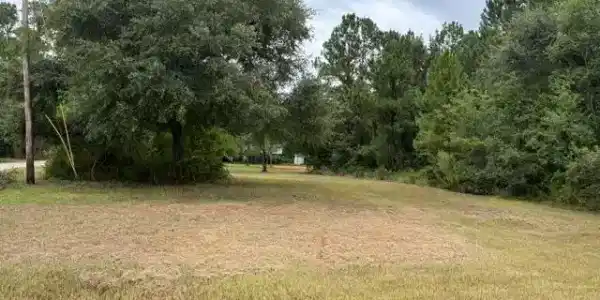 345 Poindexter Drive