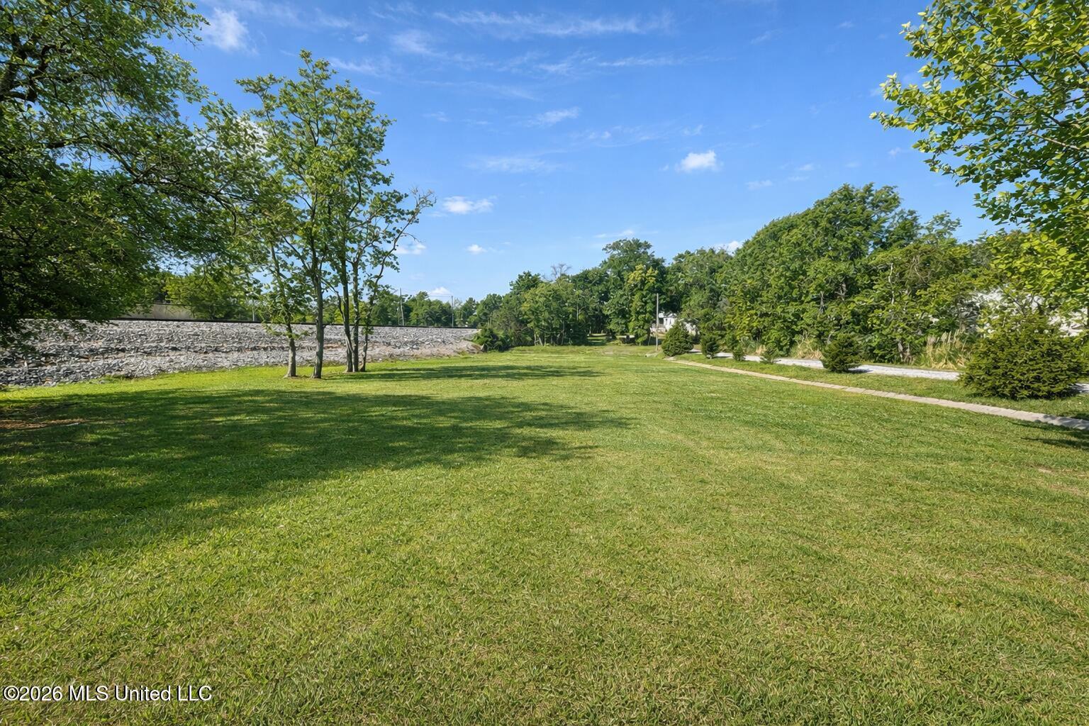 Image 1: Vacant lot with trees and road