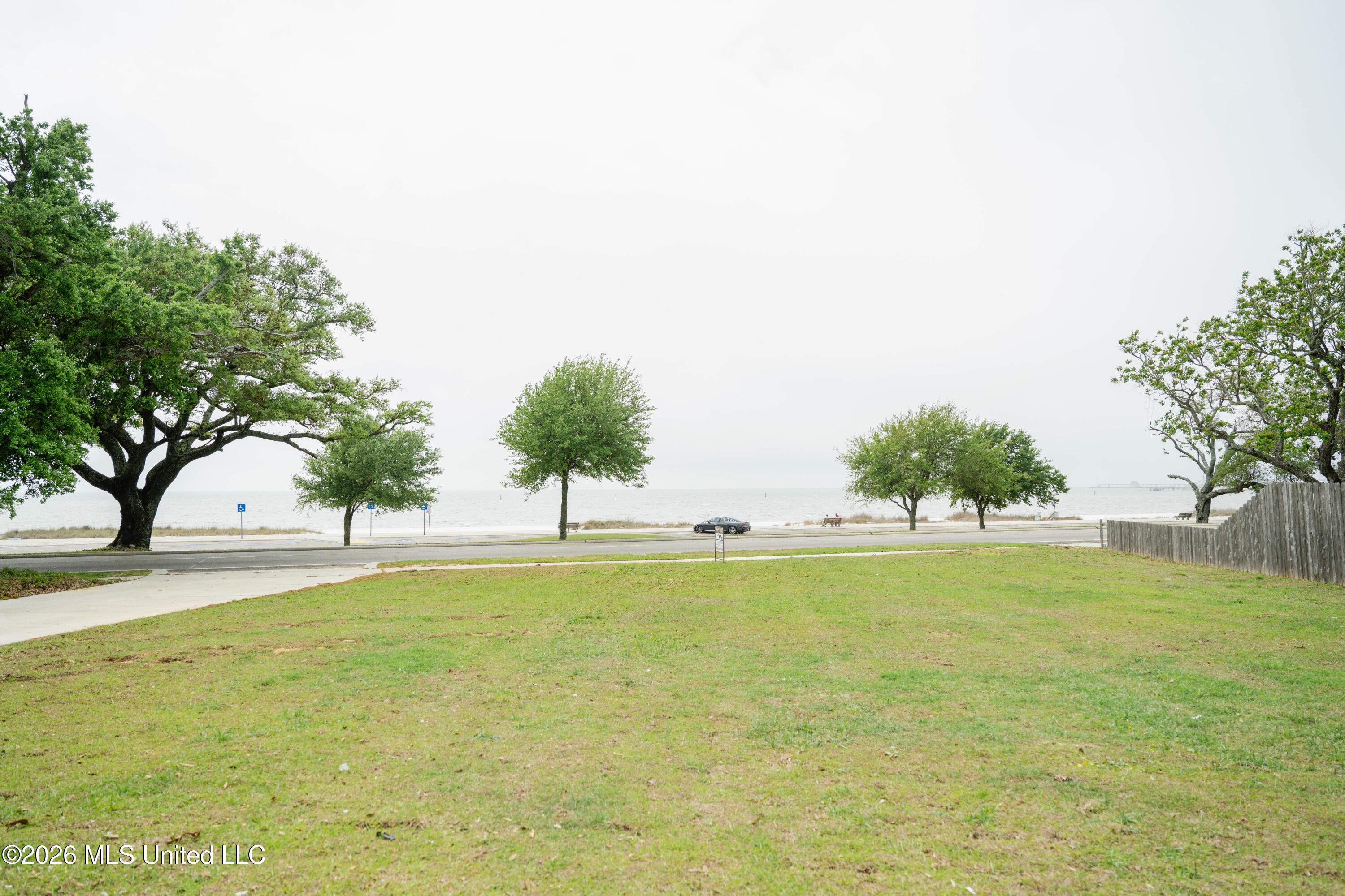 Image 3: DSC_4544