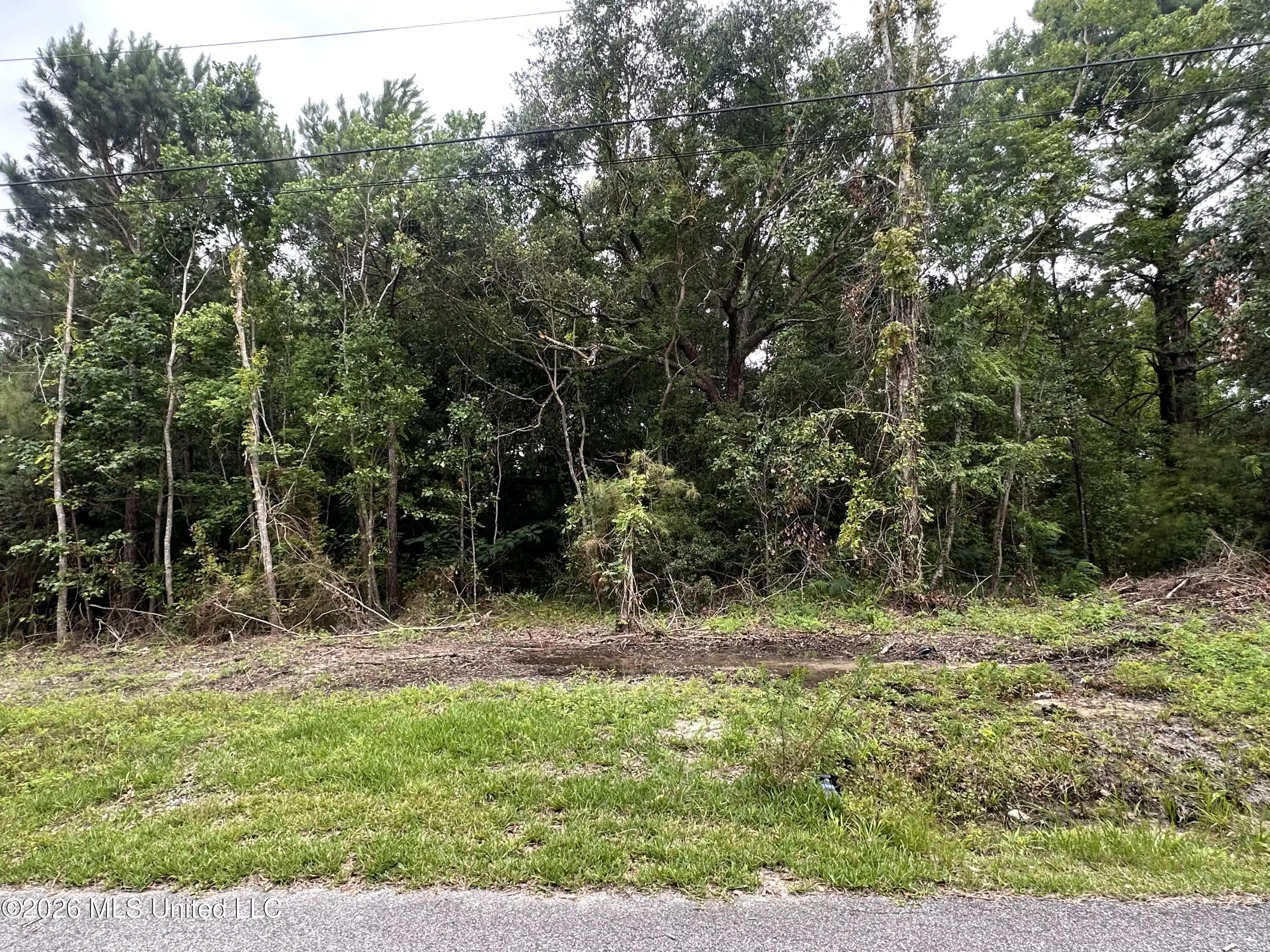 Image 1: Oak St