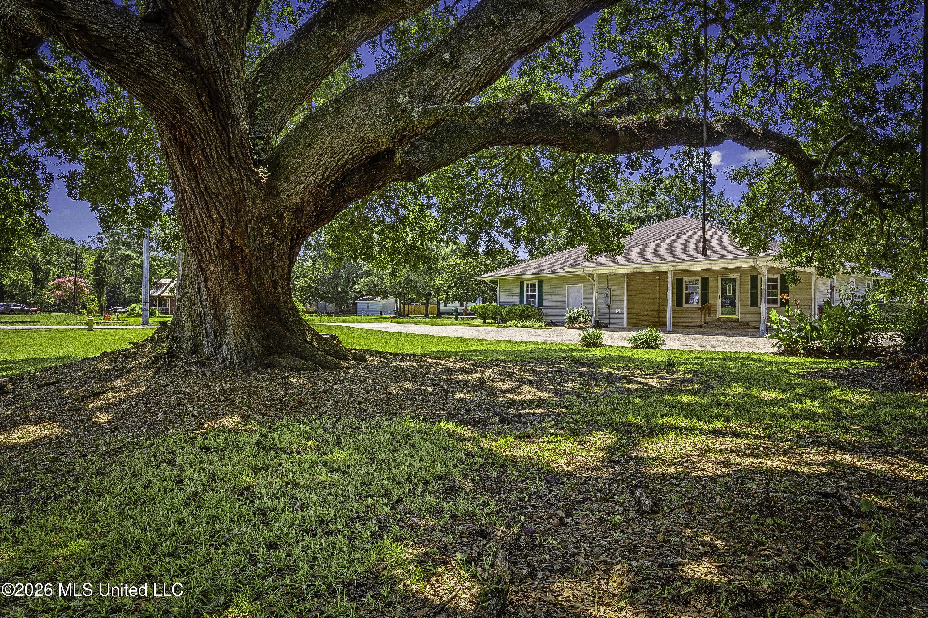 Image 3: Mature Established Landscape