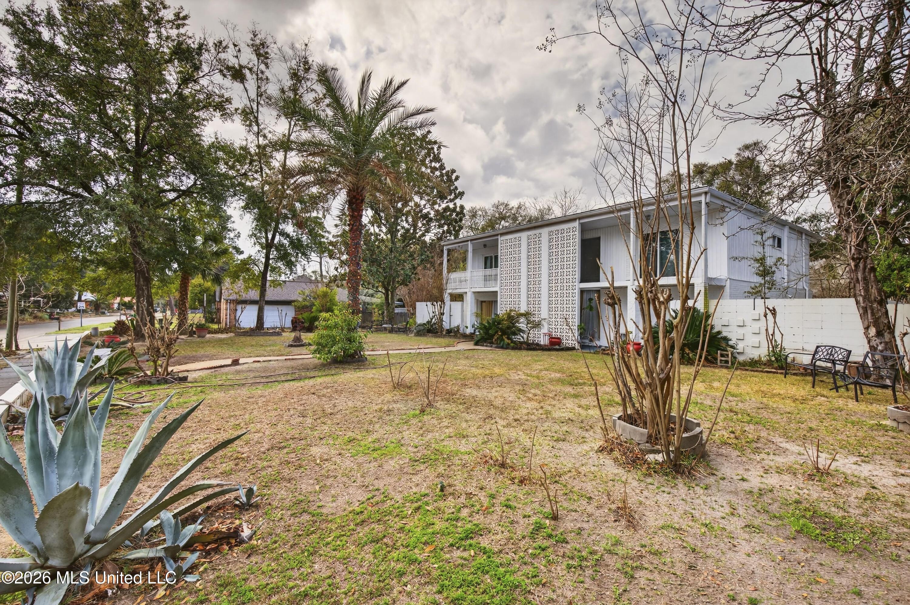 Image 4: Large lot with palms