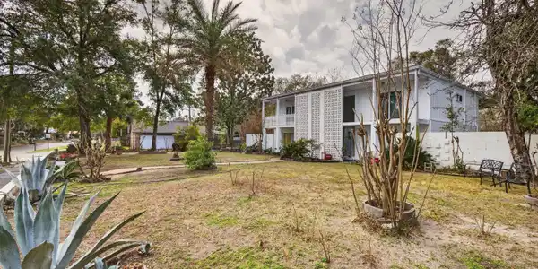 Image 4: Large lot with palms