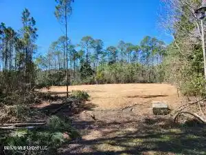 Image 1: Photo