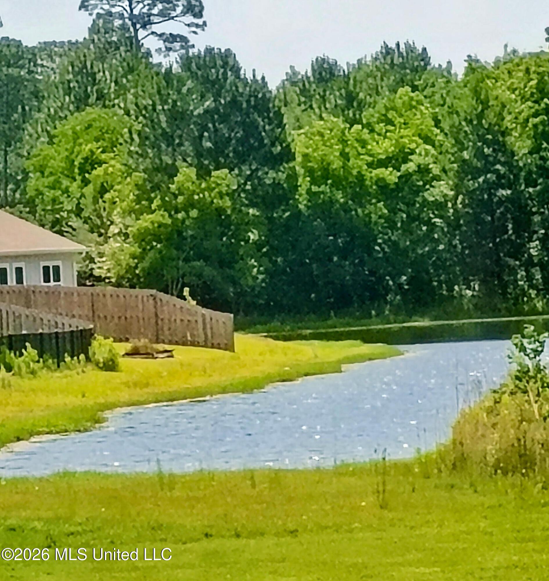 Image 4: Pond