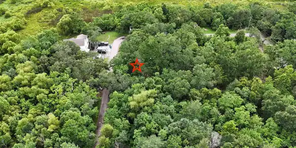 Image 3: 00 Dicks Overhead Wetlands View