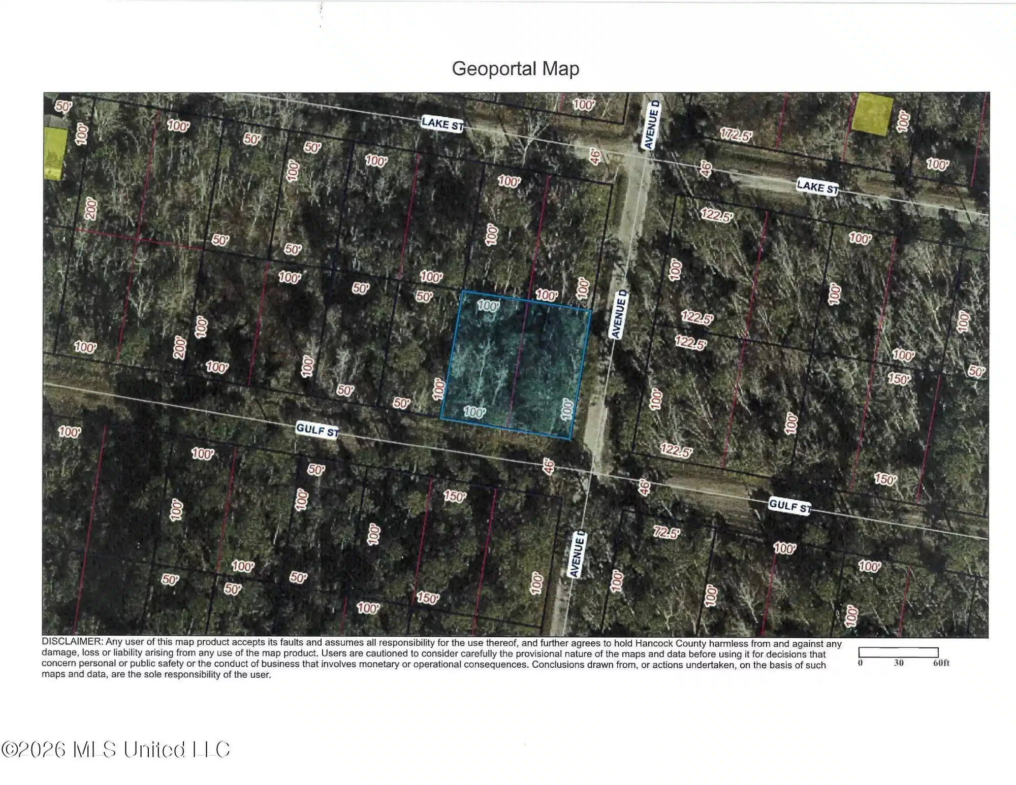 Image 1: Avenue D aerial jpg