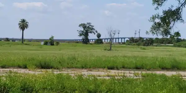 Image 3: 20230801_143628