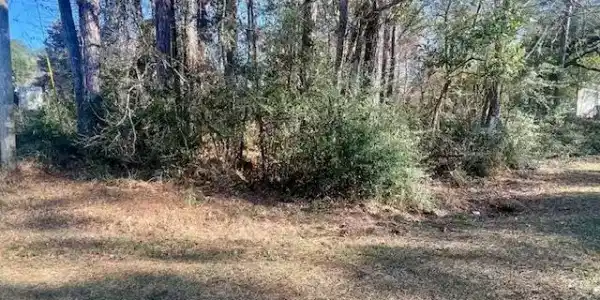 0 Bayou Drive