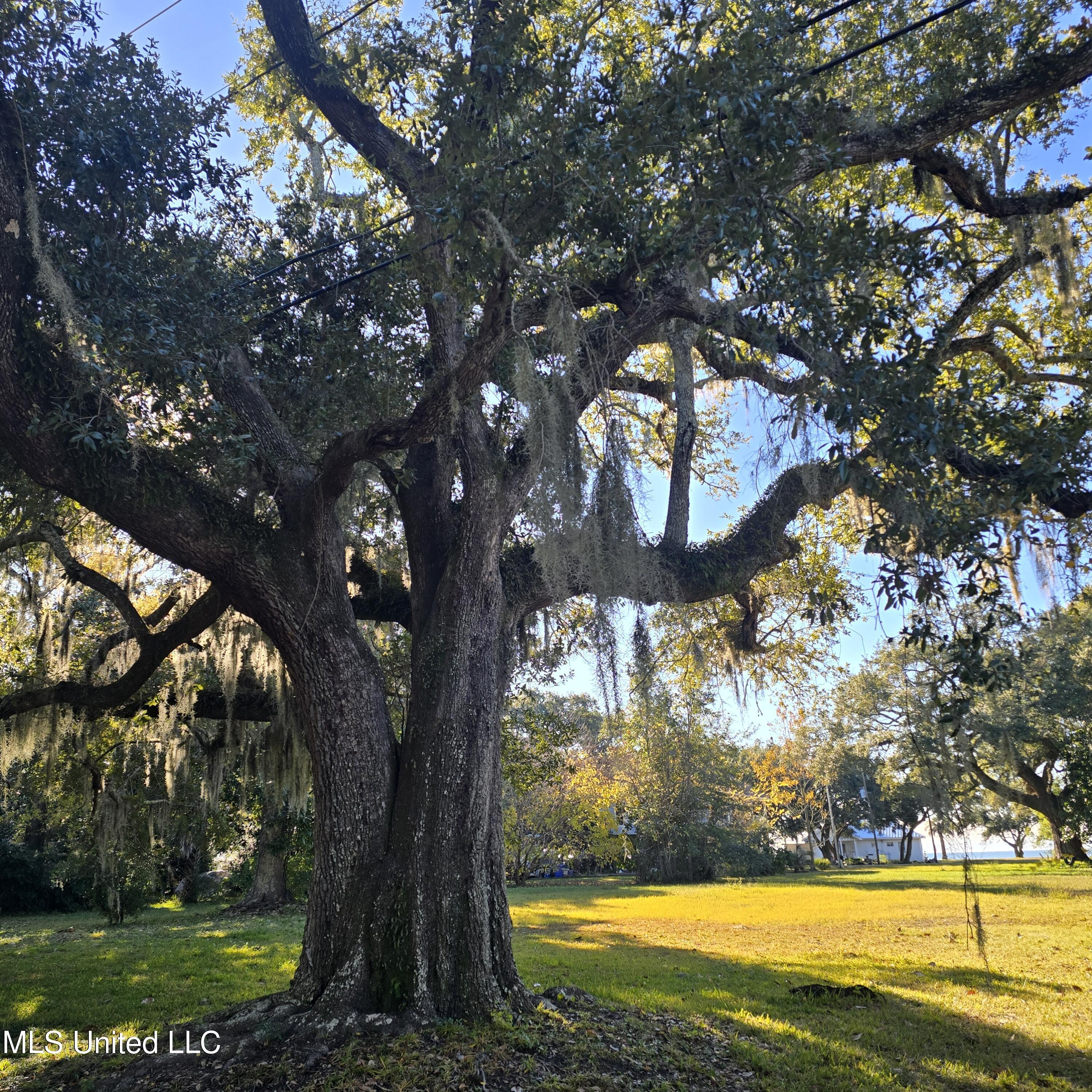 Image 2: 20251215_090357