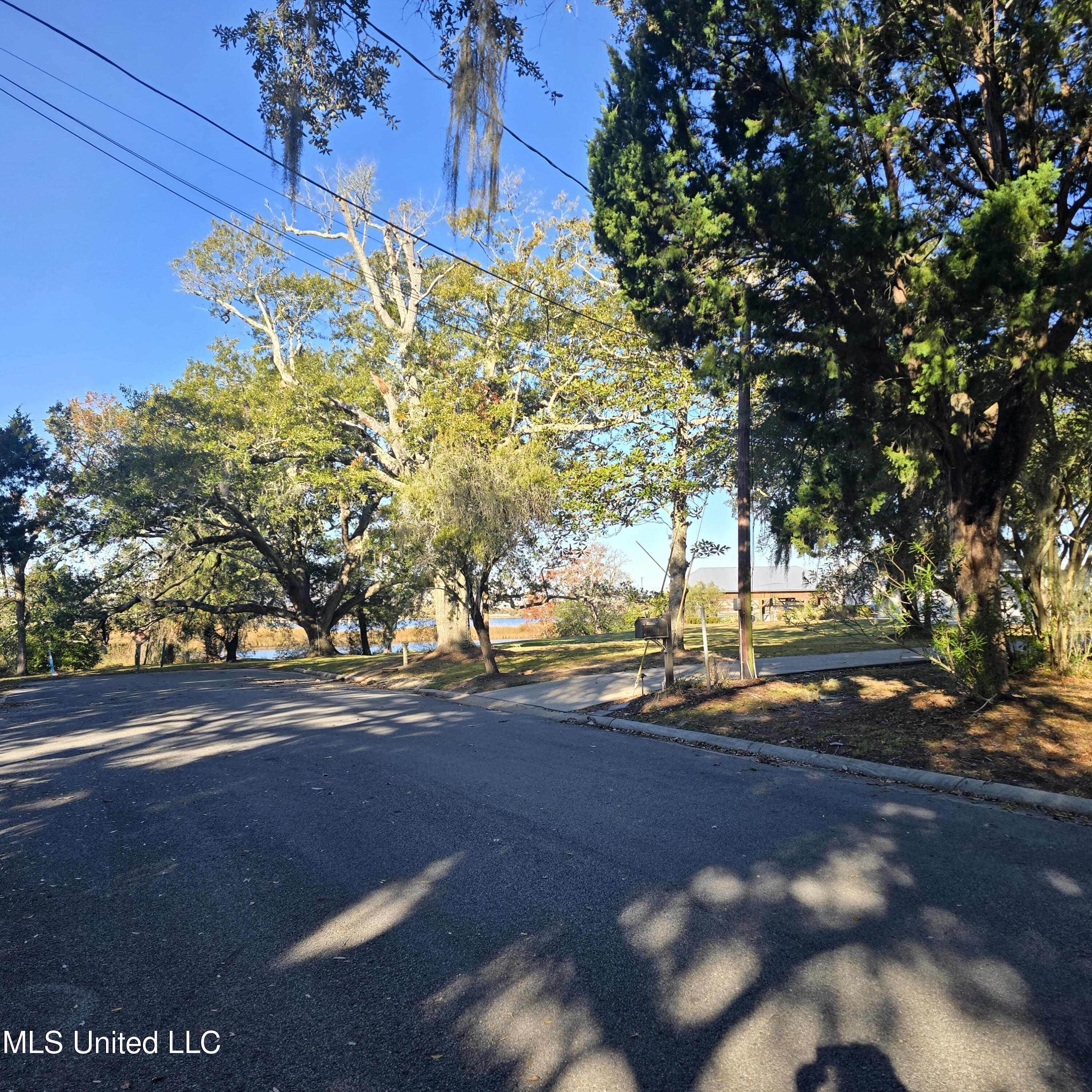 Image 3: 20251215_090351