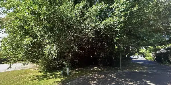 Acadian Drive