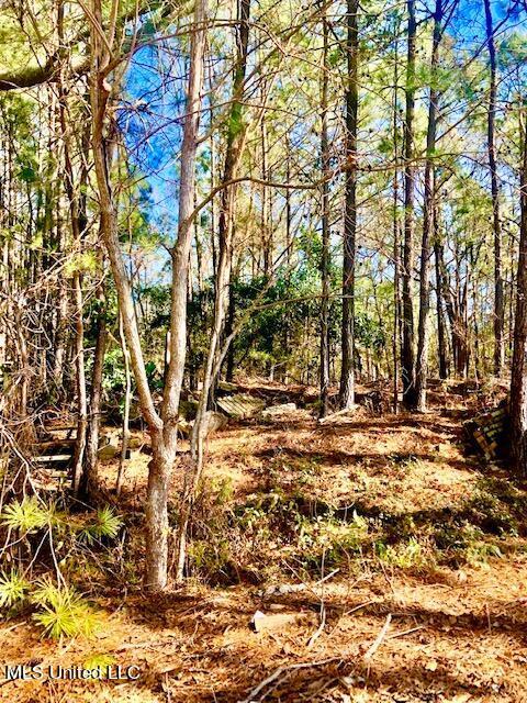 Image 2: Nice wooded lot