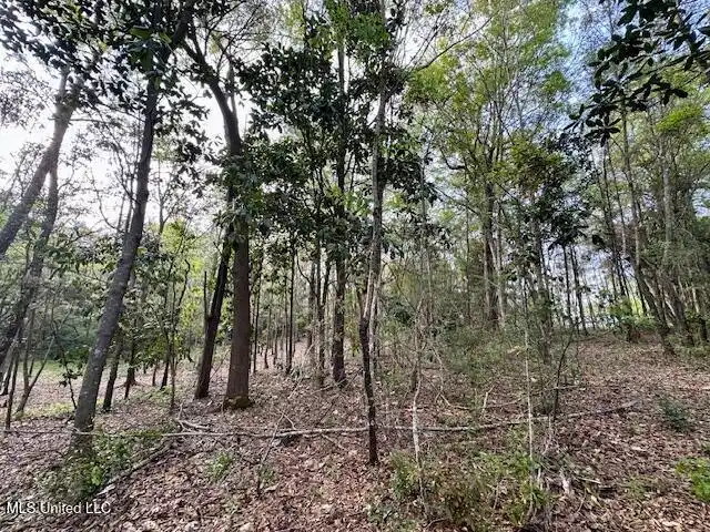 Image 1: Land