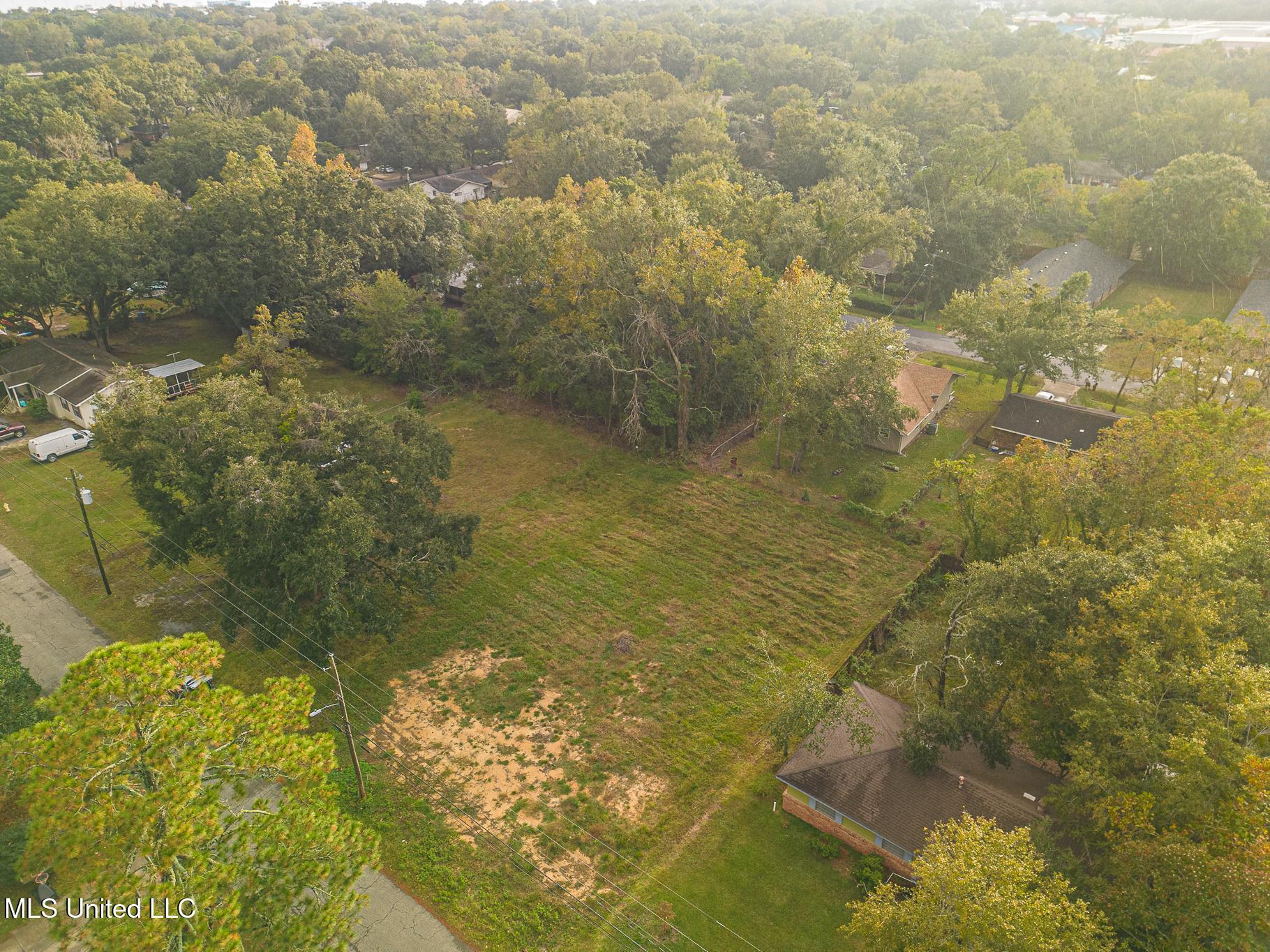 Image 4: DJI_0879