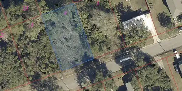 Image 3: Screenshot 2025-06-21 at 2.35.39PM