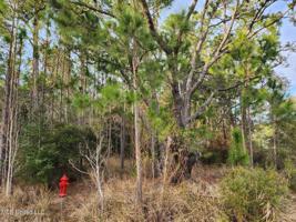Old Spanish Trail