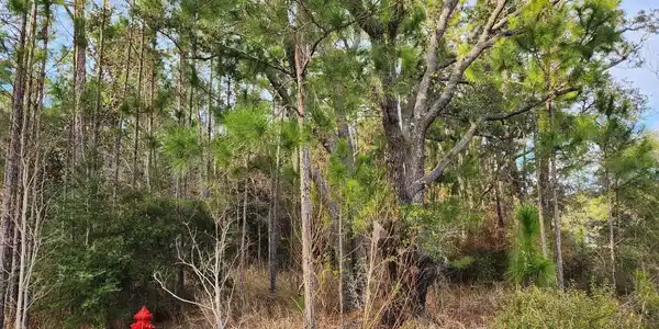 Old Spanish Trail