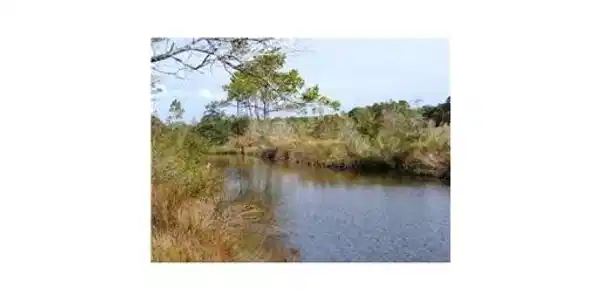Lot 15 Pickering Forest Drive